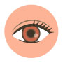 パーソナルカラー診断、瞳の色のイラスト