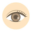 パーソナルカラー診断、スプリングの瞳の色のイラスト