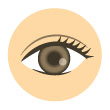 パーソナルカラー診断、オータムの瞳の色のイラスト