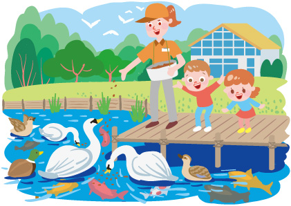 緑豊かな公園内の池のコブハクチョウなどの水鳥や鯉などの魚に餌をやる施設管理人と子ども達のかわいいイラスト